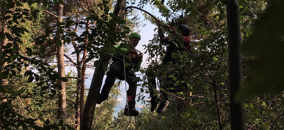Una pilota di parapendio precipita tra gli alberi e resta sospesa tra due piante a 5 metri di altezza