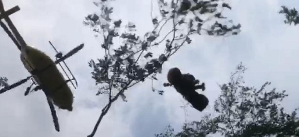 Escono dal sentiero in cerca di funghi: il marito 83enne cade in una scarpata sotto gli occhi della moglie