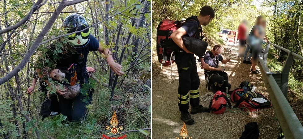 Jack Russel si allontana dai padroni e cade in un canalone tra i rovi: salvato dai vigili del fuoco