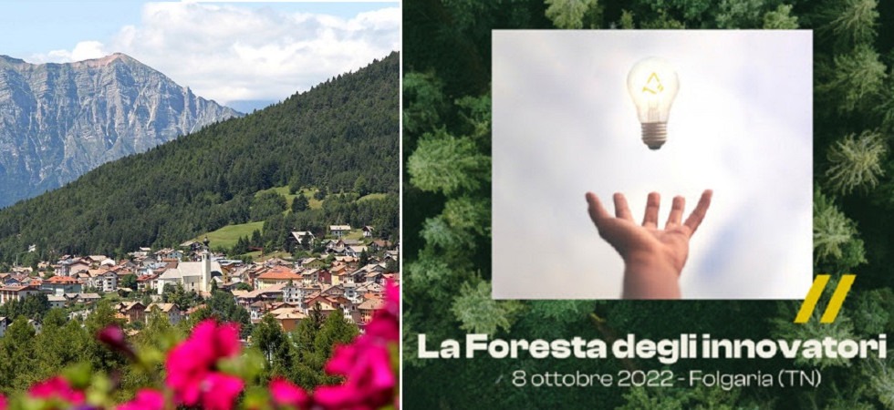 Nasce la foresta degli innovatori, un'iniziativa per ricostruire le foreste delle Dolomiti e per raccontare i giovani che