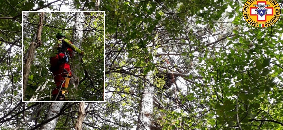 Precipita con il parapendio, 73enne rimane bloccato su un albero