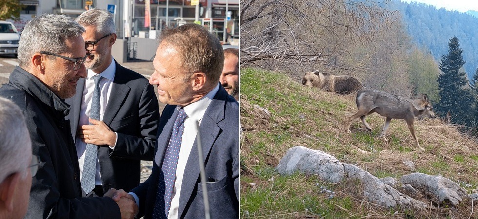 L’Enpa contro il ministro Lollobrigida: “Se toccano lupi e orsi siamo pronti alla mobilitazione”
