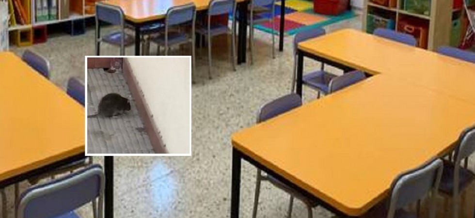 Topi nelle aule, scuola d'infanzia chiusa e bambini a casa