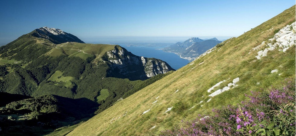 Conservazione della natura e sviluppo del territorio, rinnovata la Convenzione e il programma di interventi del Parco