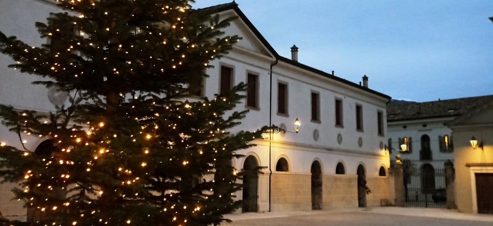 Foto Foto - Gruppo Facebook Notizie da Conegliano, Oderzo, Vittorio Veneto Dopo il vescovo che si addormenta prima della messa multato anche l’albero di Natale del parroco di Vittorio Veneto