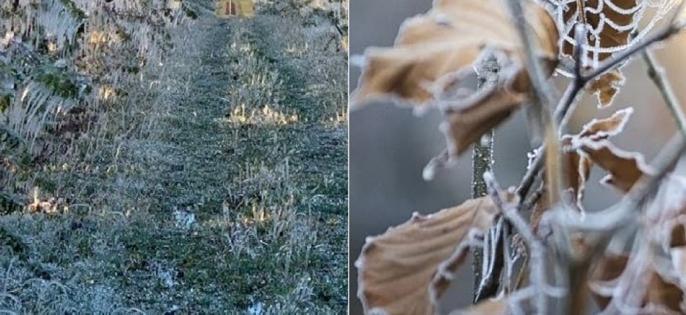 In arrivo il freddo e sale la preoccupazione per le colture