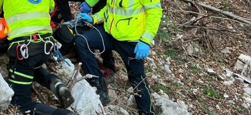 Foto d'archivio Stava tagliando un albero ma la pianta gli cade addosso: un 80enne traferito in ospedale