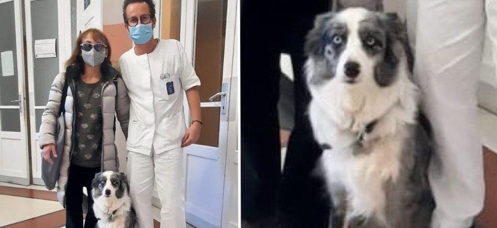 "Mi avverte in anticipo delle crisi epilettiche e mi porta le medicine"