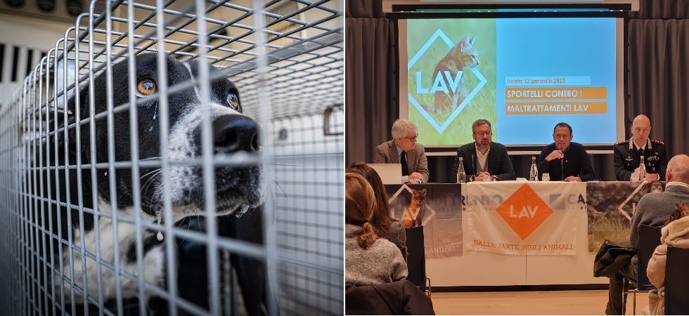 "Ogni 55 minuti una denuncia per reati contro animali"