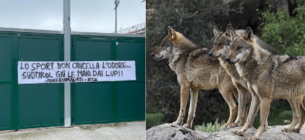 Centopercentoanimalisti contro l'Alto Adige: “Lo sport non cancella l'odore