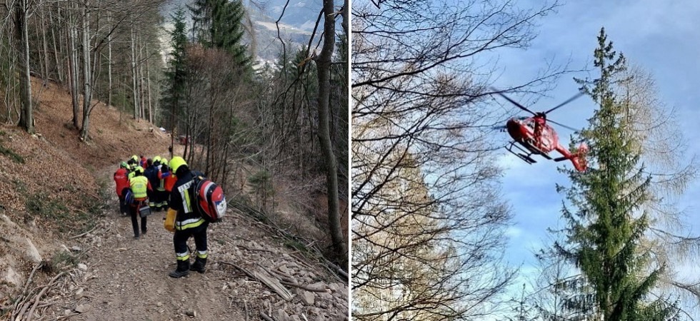 Boscaiolo finisce sotto un albero e rimane gravemente ferito: sul posto anche l'elisoccorso
