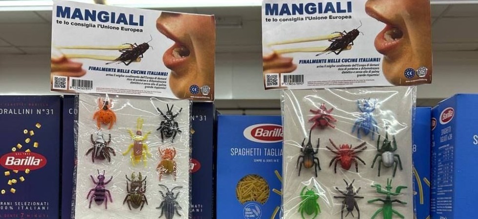 Casapound contro gli insetti negli alimenti, la protesta nei supermercati: “Non faranno mai parte della nostra identità”