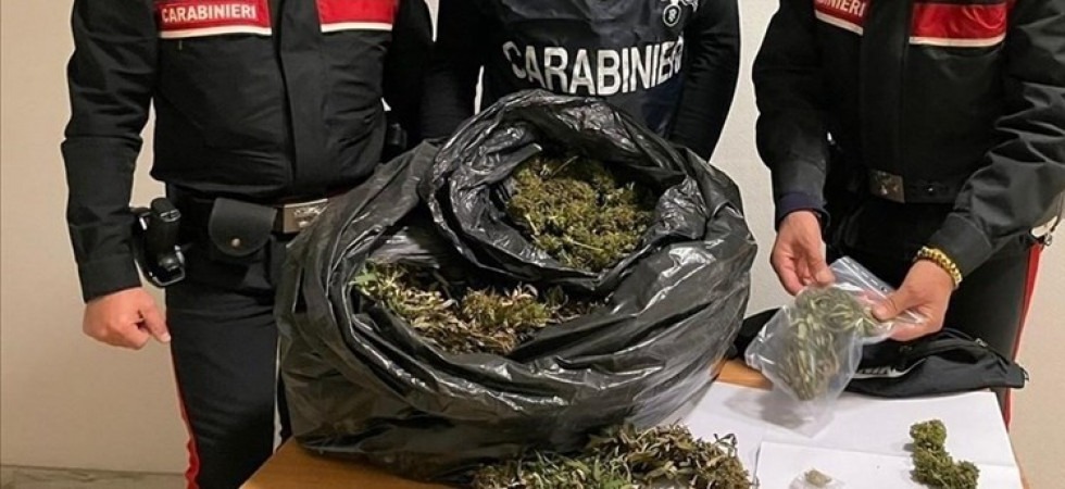 Foto d'archivio Dalla Puglia a Bolzano un giro di spaccio da 3.000 euro al giorno