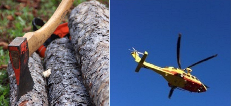 Sale sull'albero per fare legna ma perde l'equilibrio e finisce a terra