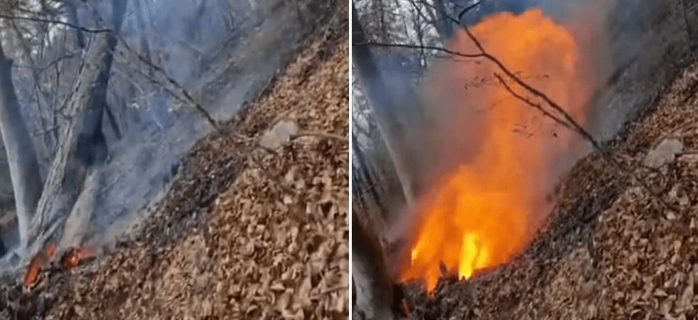 Gli alberi bruciano ancora a Marlengo a due settimane dal terribile incendio boschivo: vigili del fuoco al lavoro