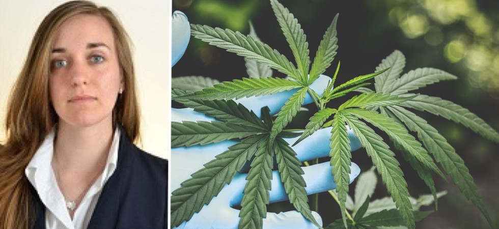 Cannabis, il Tar annulla il decreto "che 'limitava' l'uso di alcune parti della pianta"