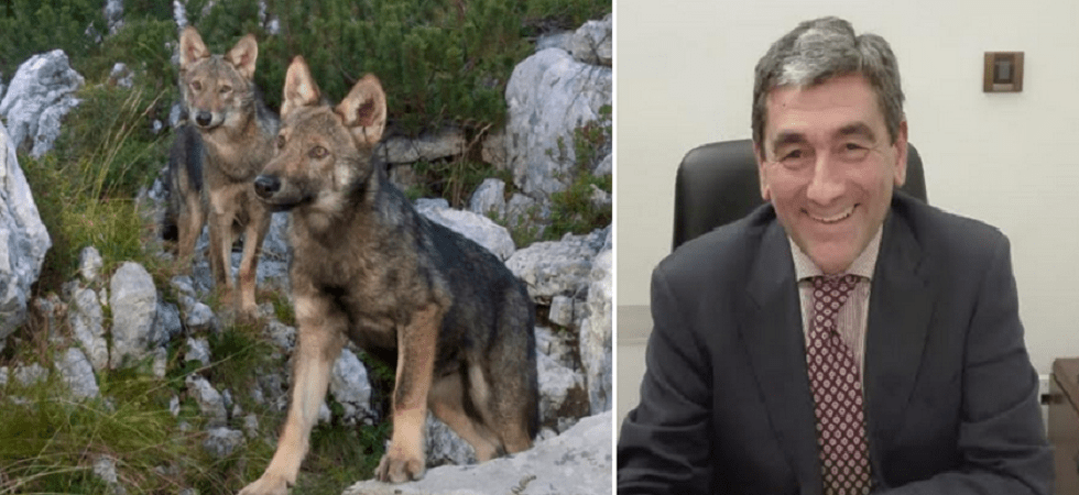 I sindaci gridano al lupo al lupo'' ma il prefetto li 'gela': Nessun pericolo