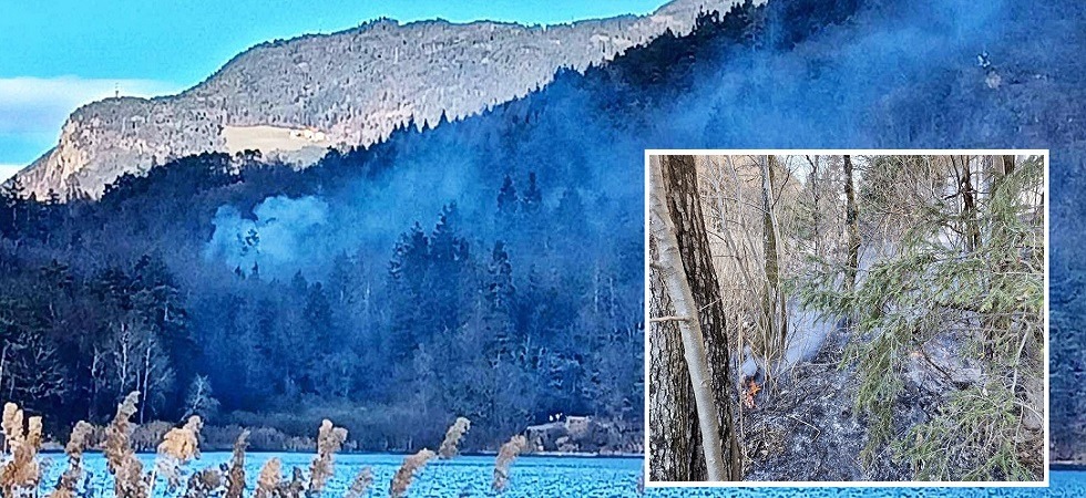 Il bosco è secco e tra gli alberi scoppia un incendio: ore di lavoro per i vigili del fuoco per domare il rogo