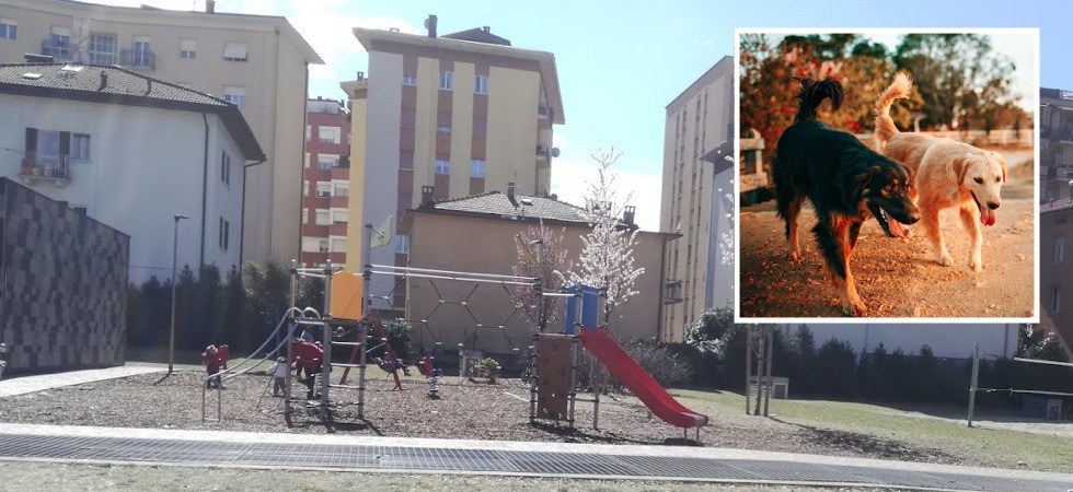 Il parco è pieno di escrementi e due bimbi decidono di ripulirlo: Volevano giocare a pallone