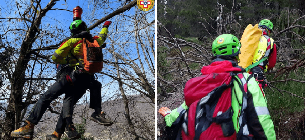 A 83 anni scivola dal sentiero e ruzzola nel bosco. Gli amici non ...
