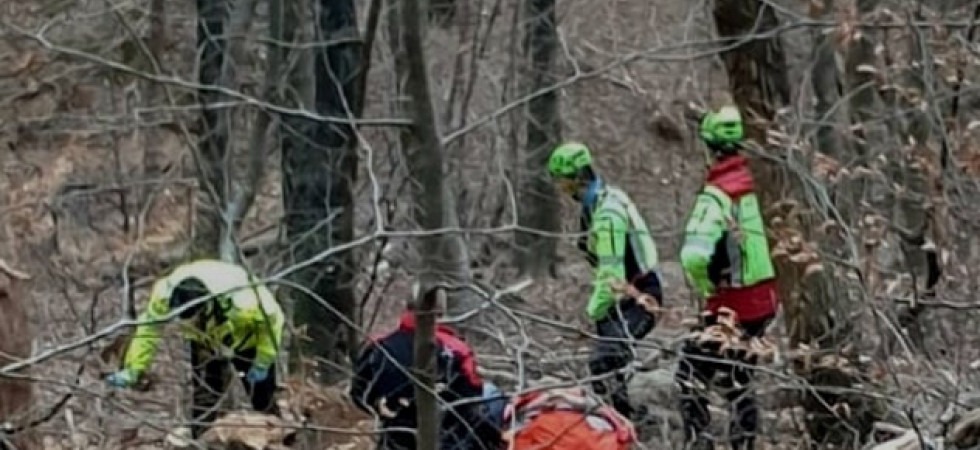 Morto nel bosco a 25 anni, Adrian è stato travolto da un tronco
