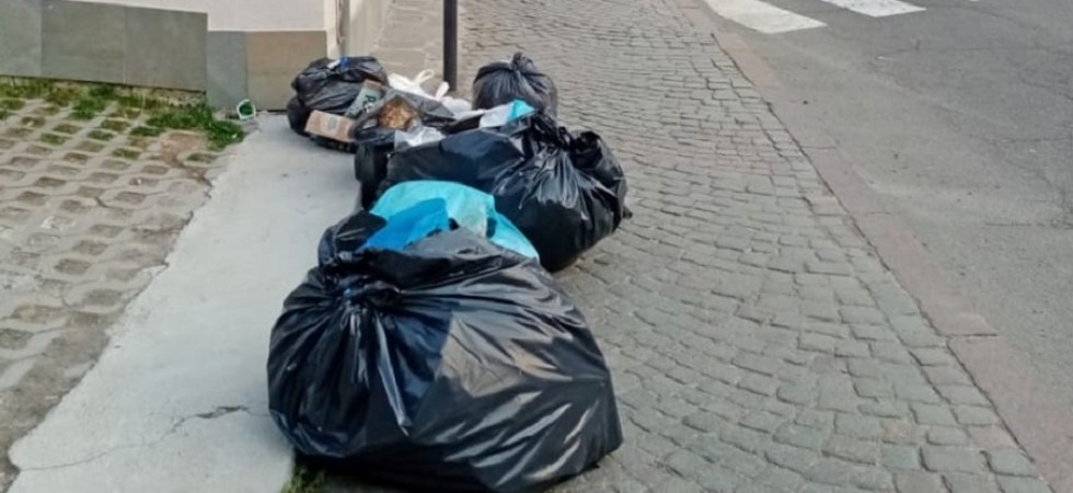 Abbandono "selvaggio" di rifiuti, in 8 mesi 206 casi: il Comune apre tre canali social per segnalare i "furbetti"