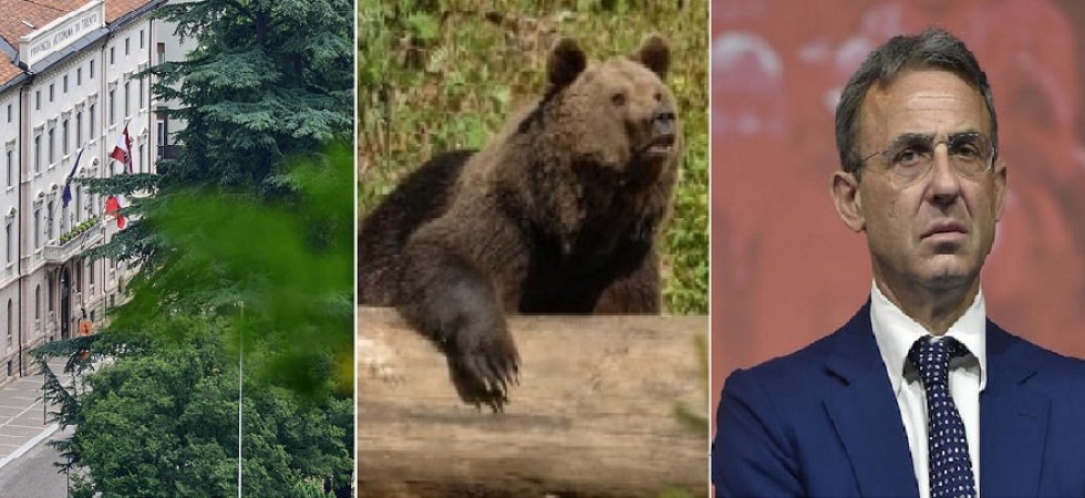 Orsi in Trentino, Le parole dell'ex ministro Costa rivelano le mancanze della Pat''