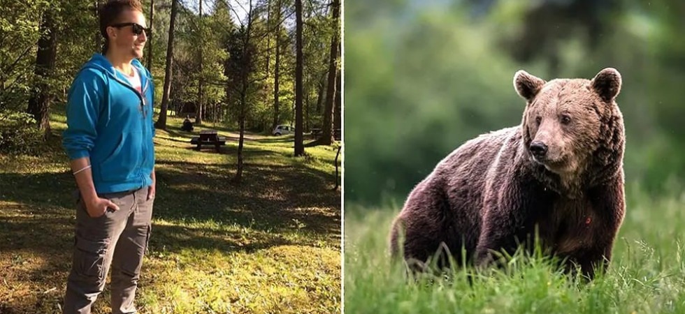 "Non ci sarà pietà per l'orso" e l'emotività si trasforma in arma mediatica