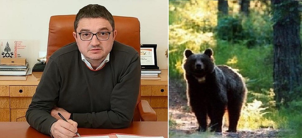 Morte di Andrea Papi, la Lav: Pronti a fare ricorso al Tar contro il provvedimento di abbattimento dell'orso''