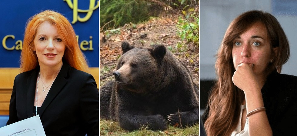 Sospeso l'abbattimento dell'orsa JJ4 dal Tar, il plauso di Brambilla