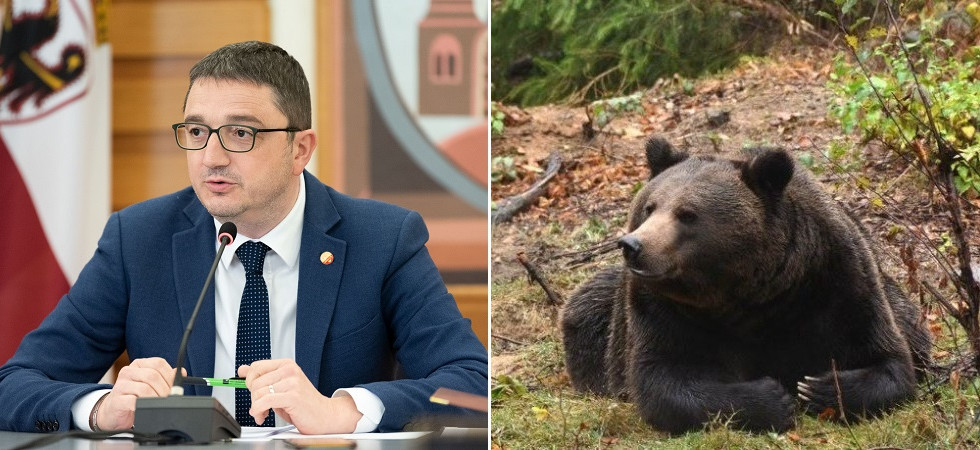 Caso Jj4, la Lav: “Fugatti contrario allo spostamento ma nel 2021 trasferì altri due plantigradi in altrettanti rifugi