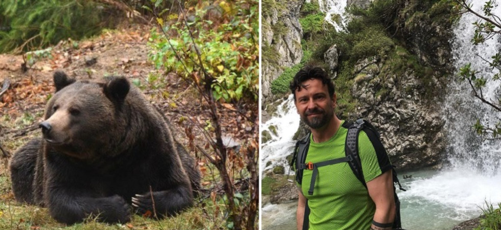 Il Parco lancia un progetto di ricerca sull’integrazione dei grandi carnivori nello spazio alpino