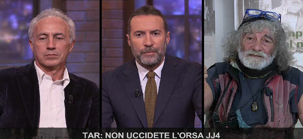 Fugatti vuole eliminare 53 orsi, Corona e Travaglio: Siamo un paese di pazzi