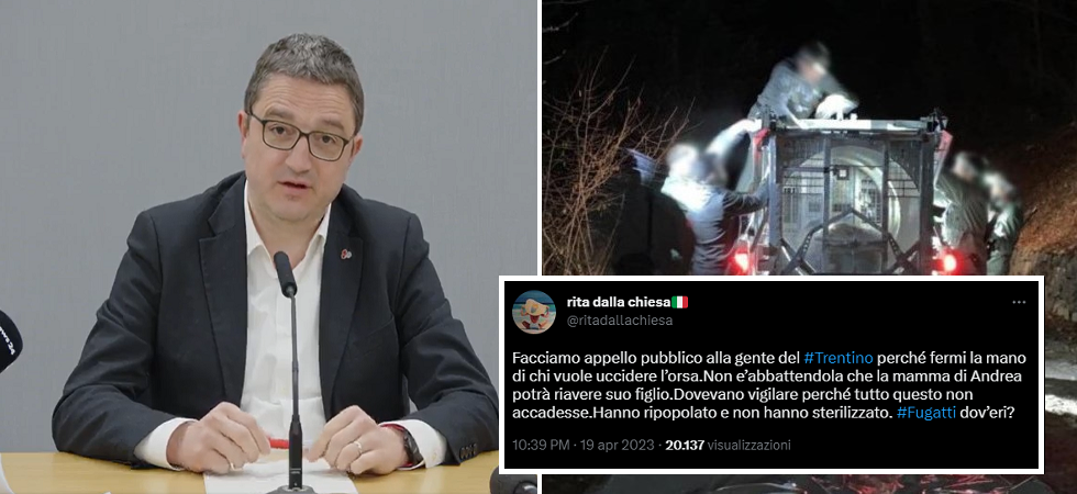 Caso Jj4, Dalla Chiesa: “Facciamo appello alla gente del Trentino perché fermi chi vuole uccidere l'orsa”