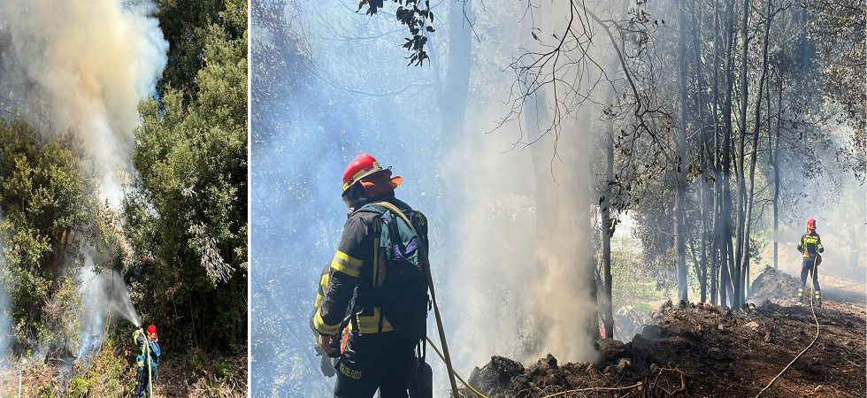 Incendio boschivo a Pietramurata, quasi 500 metri quadri di bosco bruciati