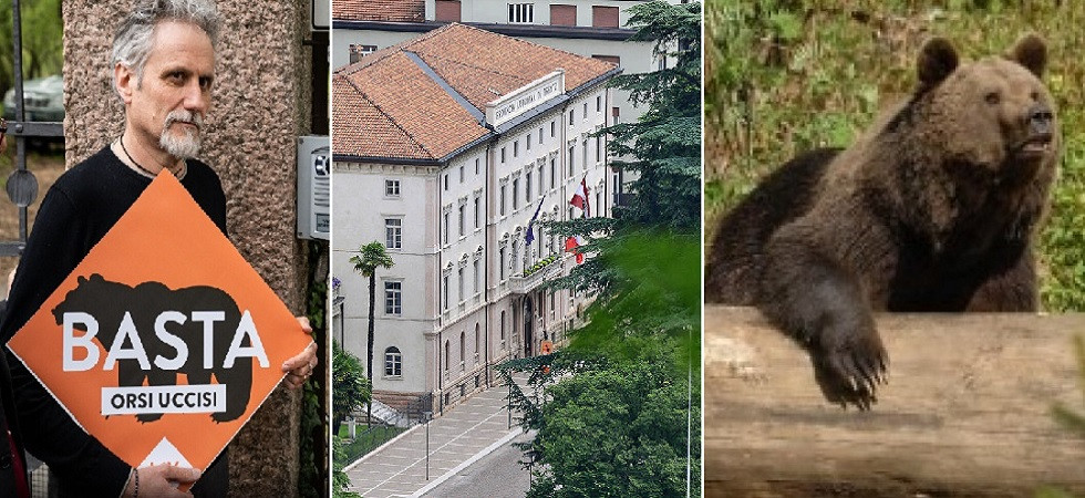 Orsi in Trentino, "Che prevenzione ha fatto la Provincia?"