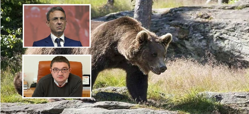 Orsi in Trentino, il M5s di Camera e Senato scrive al Ministro: Da Fugatti propaganda elettorale con le ordinanze