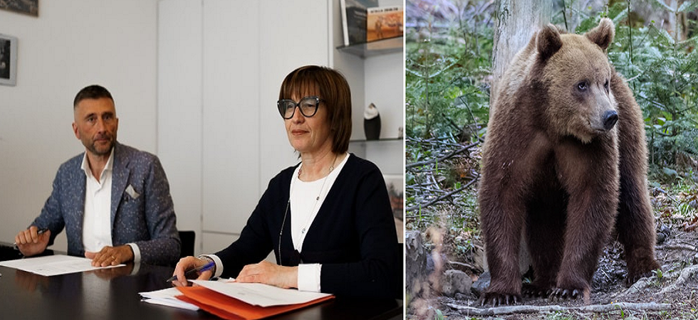Guerra agli orsi in Trentino una voce critica dalle opposizioni, Casa Autonomia: Clima pesante verso il territorio