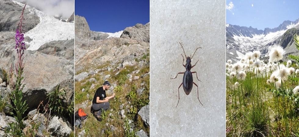 E' una biodiversità destinata a scomparire”