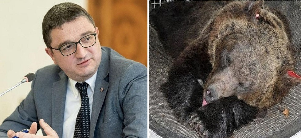 Nuovo decreto di Fugatti per l'abbattimento di Jj4, Animal Protection