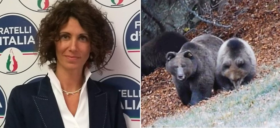 "Non si risolverà il problema abbattendo Jj4"