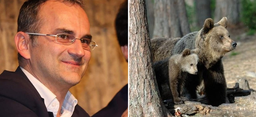 La Lega lancia la petizione "Meno orsi in Trentino", Binelli: "Ci aspettiamo grande adesione"