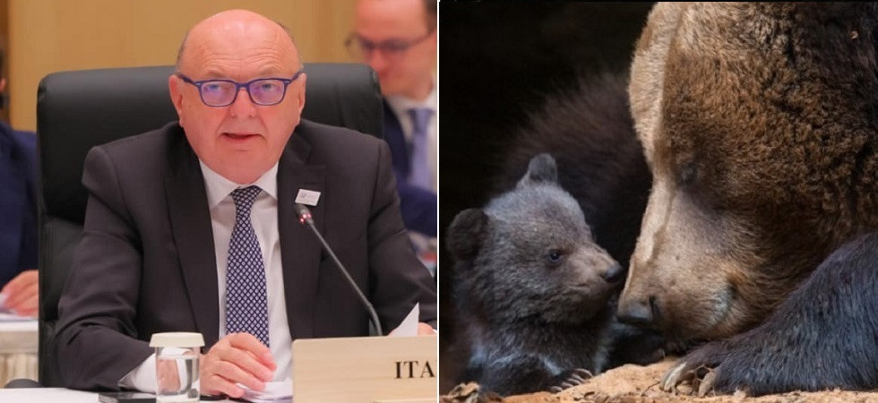 "Dobbiamo tutelare i cuccioli di mamma JJ4"