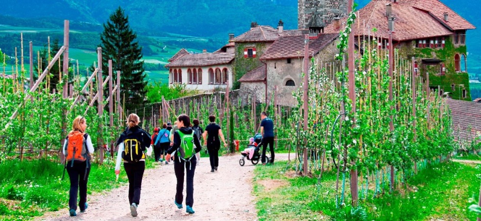 Foto di Marco Bombardelli - Pro Loco Tassullo Ritorna Quattro Ville in Fiore'', la gara podistica meno competitiva della val di Non tra paesaggi