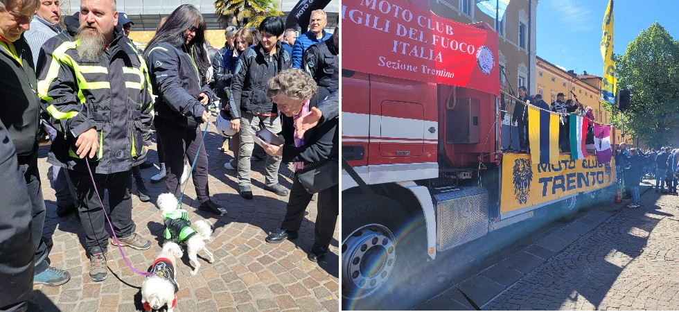 "Con i nostri due cagnolini siamo arrivati fino in Spagna"