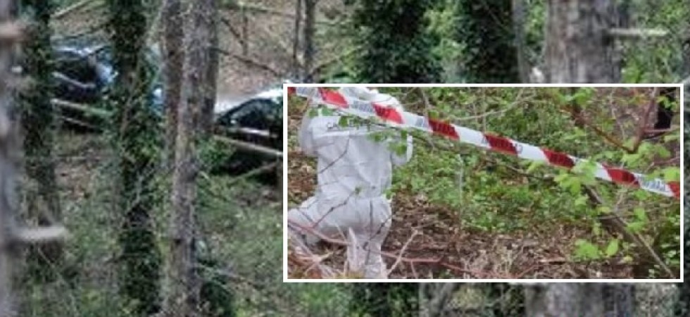 Ragazzo di 25 anni trovato morto nel bosco, si teme l'aggressione da parte di un orso