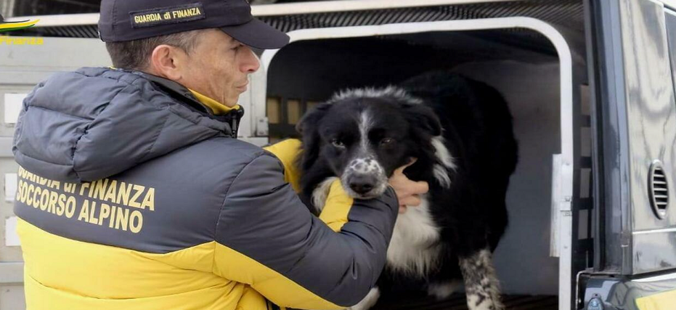 Il cane scappa, cade in un dirupo e scompare per un giorno: salvato dai militari del soccorso alpino della guardia di finanza