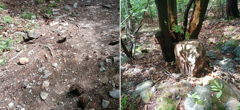 Maltempo e frane, un grosso masso precipita su un sentiero nel bosco