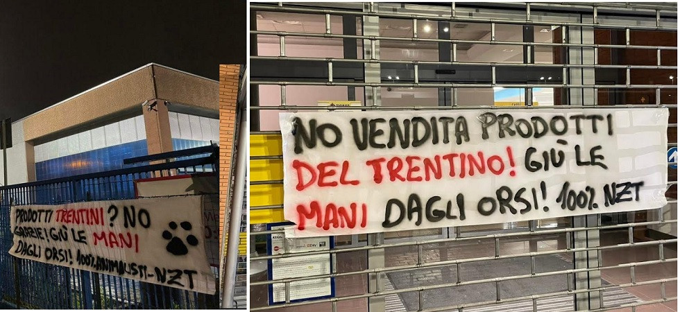 Blitz in diverse città contro il Trentino, l'azione di Centopercentoanimalisti: "Giù le mani dagli orsi"
