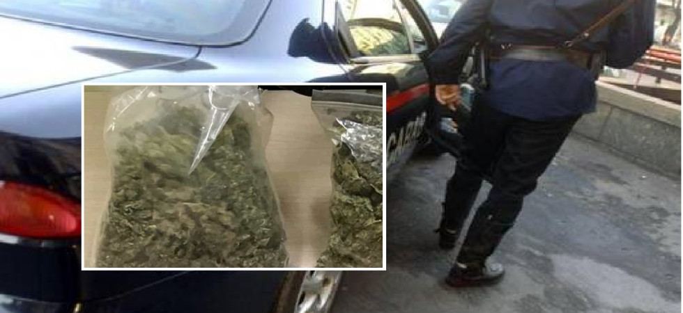 Forte odore di marijuana, i carabinieri gli perquisiscono casa e trovano una serra con essiccatore